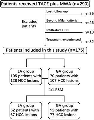 Local anaesthesia vs. general anaesthesia for percutaneous microwave ablation in hepatocellular carcinoma: efficacy, safety, and cost analysis